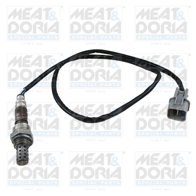 Oxygen Sensor